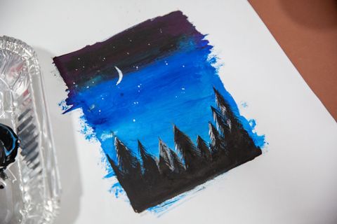 Night sky painting with pine trees